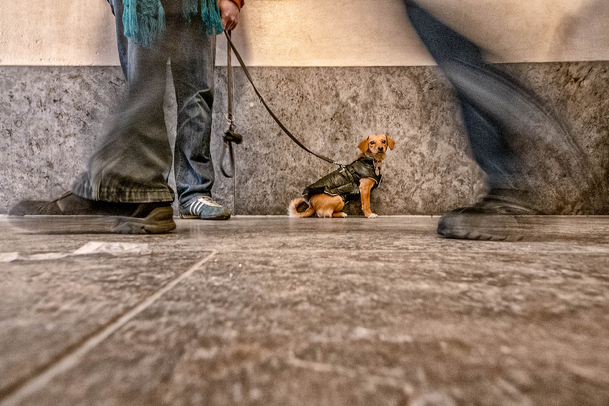 wp-Galerie-bodenstaendig-046